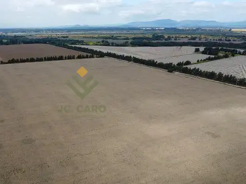 Campo en Venta en El Carmen
