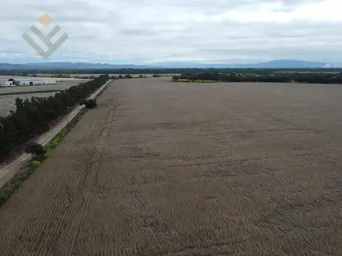 Campo en Venta en El Carmen