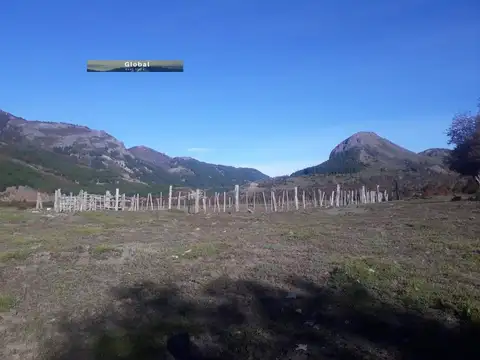 Campo en Venta de 890  ha