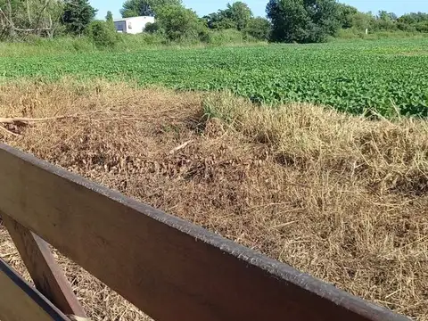 CAMPO AGRÍCOLA EN MONTE VERA