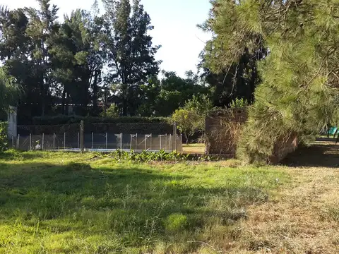 Terreno en Venta 50  mts Fondo