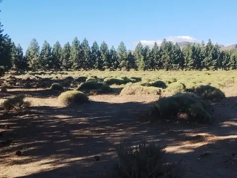 Terreno en Venta en Ñirihuao Estacion Fcgr, USD 550.000