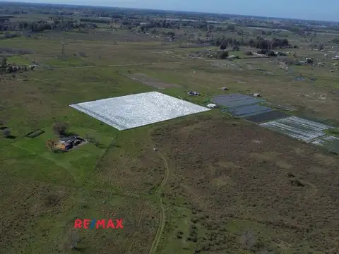 Campo 15 Hectáreas En Venta Florencio Varela