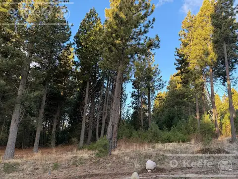 Terreno en Venta 40  mts Fondo