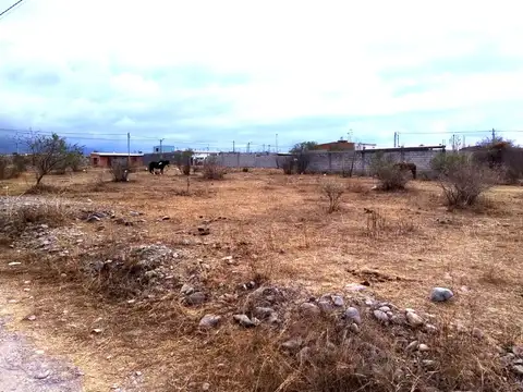 Terreno en Venta en Campo Quijano, $ 11.000.000