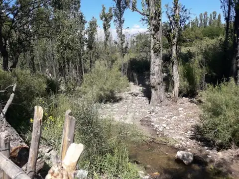 Campo - Tinogasta