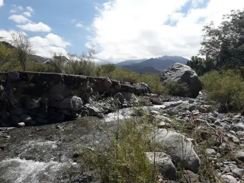 Campo - Tinogasta