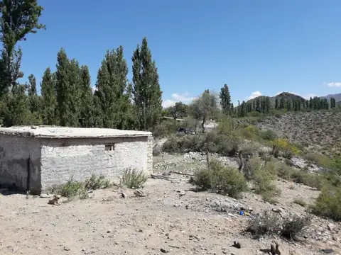 Catamarca tinogasta
