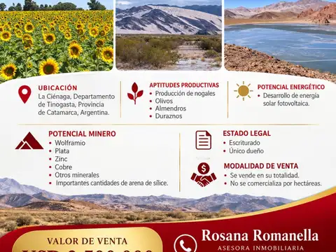 Campo - tinogasta