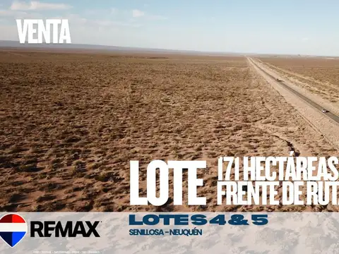 VENTA 17 HA FRENTE DE RUTA, ARROYITO.