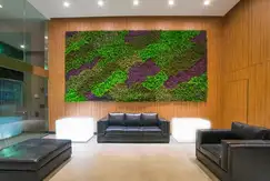 Strada X de  1 y 2 Dormitorios