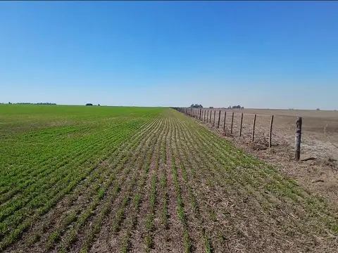 Se vende campo de 201 Has. en Sta. Teresa, Sta. Fe