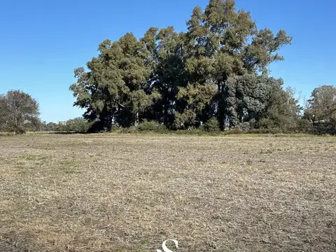 VENTA CAMPO DE 12 HAS CAPILLA DEL SEÑOR
