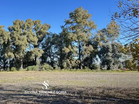 VENTA CAMPO DE 12 HAS CAPILLA DEL SEÑOR