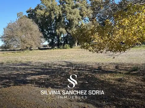 VENTA CAMPO DE 12 HAS CAPILLA DEL SEÑOR