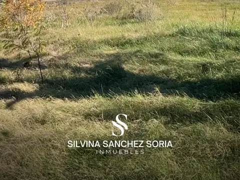 VENTA CAMPO DE 12 HAS CAPILLA DEL SEÑOR