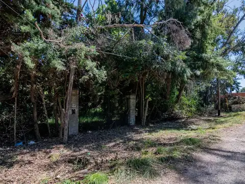 LOTE EN VENTA EN VILLA ELISA