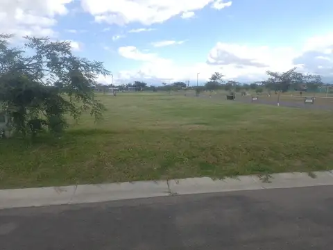 La Verbena 100, Piso 29