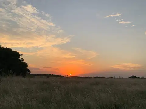 CHACRA CAMPO VENTA MADARIAGA TIO DOMINGO GANADERO