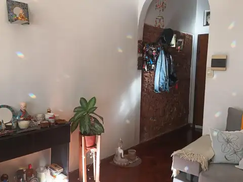 MARIO BRAVO al 300
