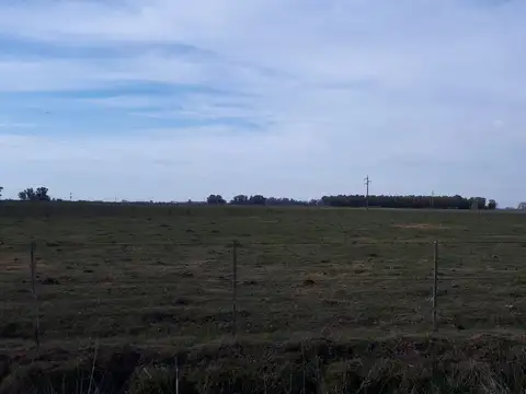 Campo en Venta de 5  ha