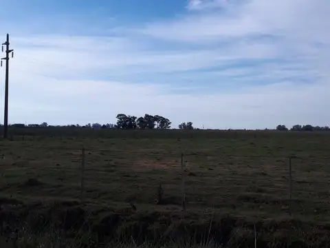 Campo en Venta con Alambrado