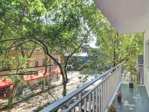 LUMINOSO DEPTO EN PLAZA SERRANO