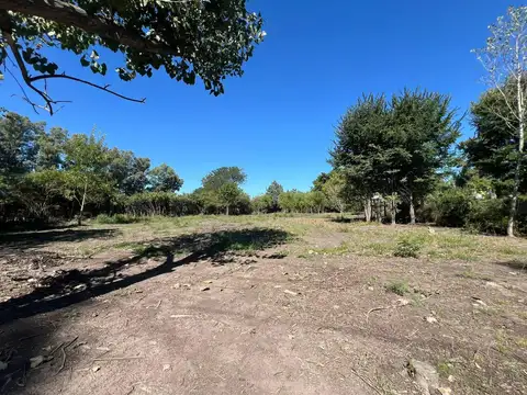 VENTA LOTE EN BARRIO DE CASAS QUINTAS CON POSIBILIDAD DE SUBDIVIDIRLO FINANCIA ACEPTA VEHICULO