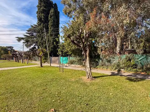 J. M Zapiola al 1600