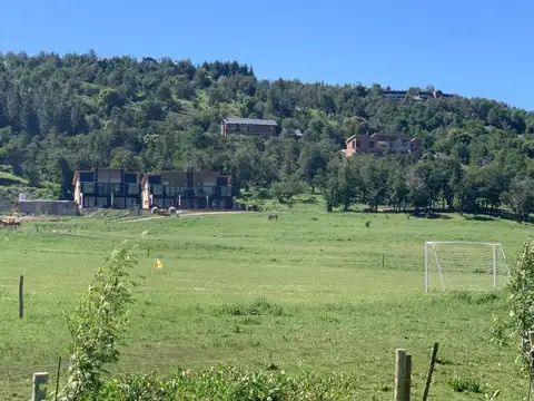 Los Ñires San Martin De Los Andes