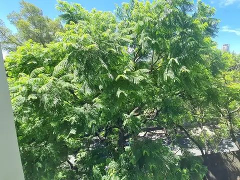 Departamento en Venta 14 años