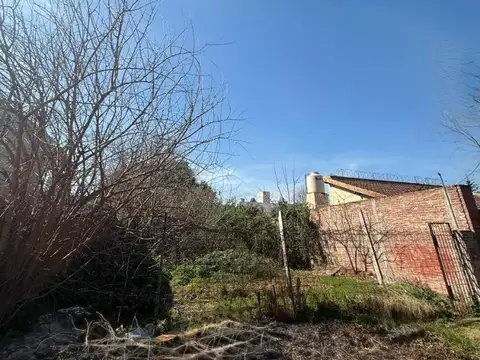 Lucero 600