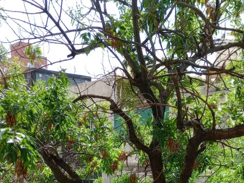 FINOCHIETTO 400, Piso 3