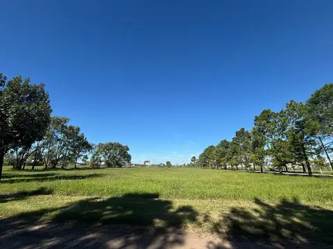 Tierra de Sueños 1