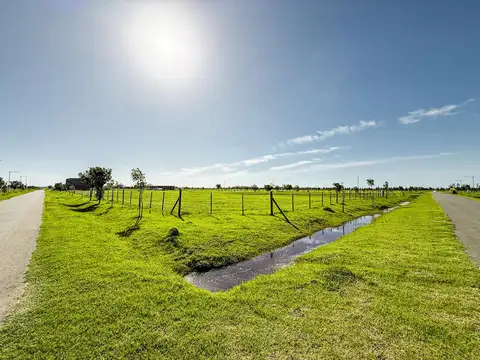 Terreno en Venta 33  mts Fondo