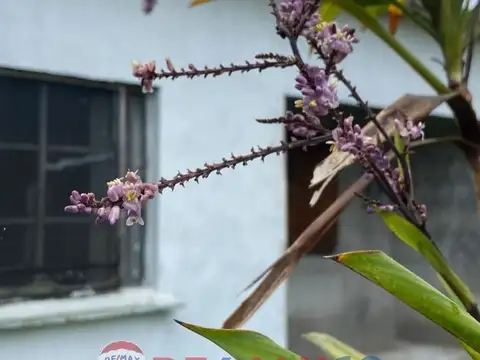 IBIRAPITA ESQ SANTA VICTORIA 100