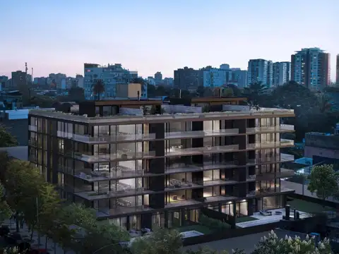 Velvet Colección - Sucre 865