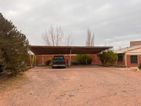 Ruta 6 100