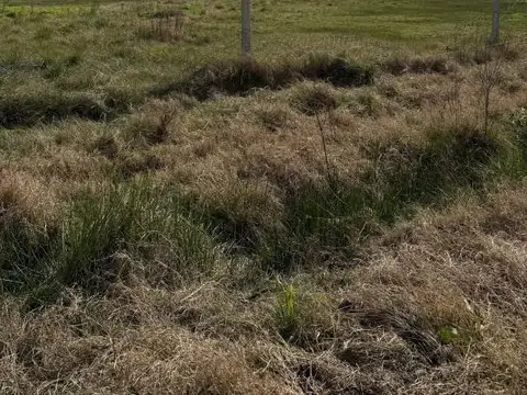 Terreno en Venta en City Bell, USD 12.450