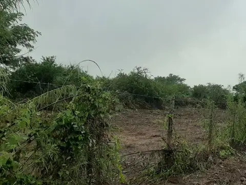 Ruta 51