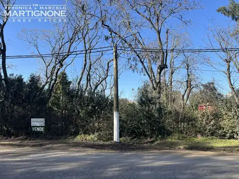 Manzanares - Pilar - Calle Martel Al 400