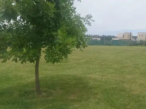 Terreno en Venta de 600,0 m2