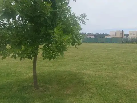 Terreno en Venta de 600,0 m2