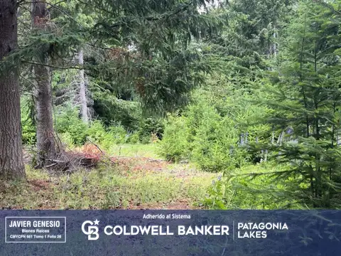 Boulevard Quetrihue al 1400