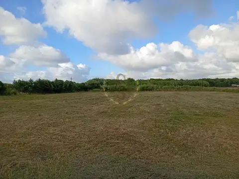 Terreno en Venta de 10733,0 m2