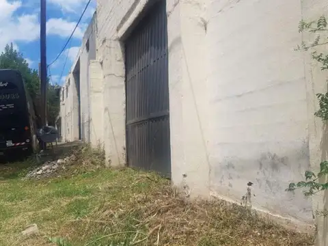 Los Pinos 100