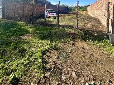José Ameri 500