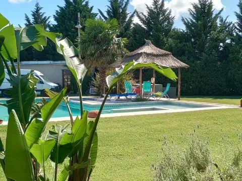Alvarado  1500