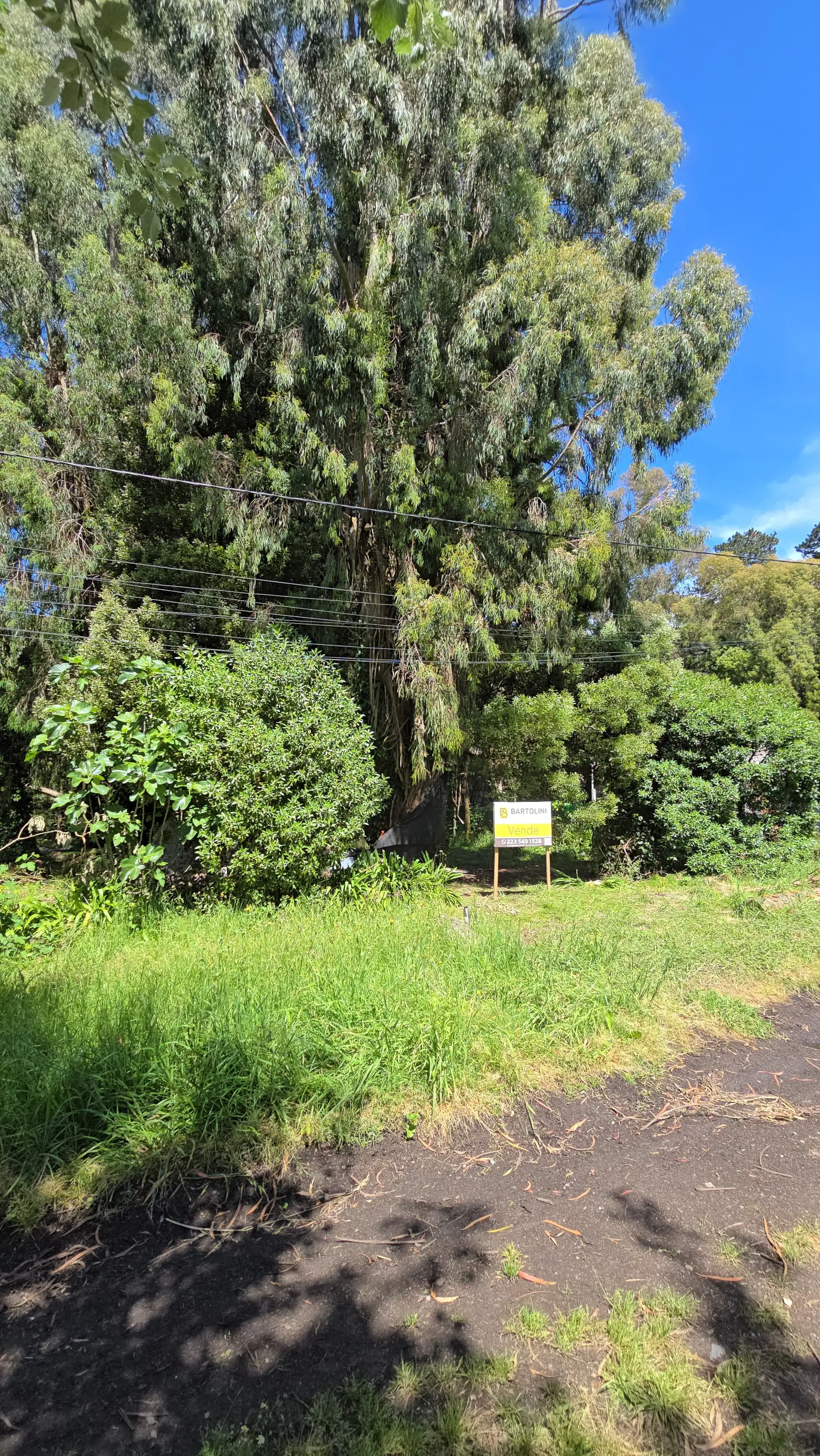 Terreno en venta en Barrio Bosque Peralta Ramos
