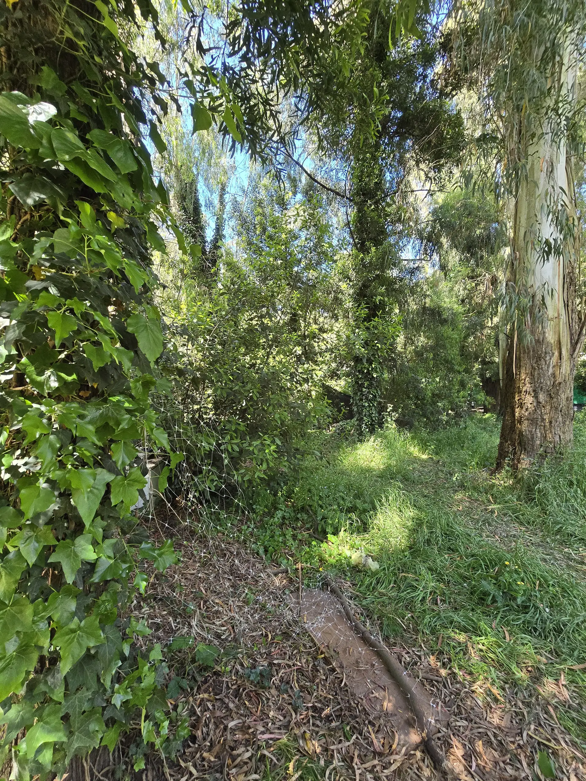 Terreno en venta en Barrio Bosque Peralta Ramos